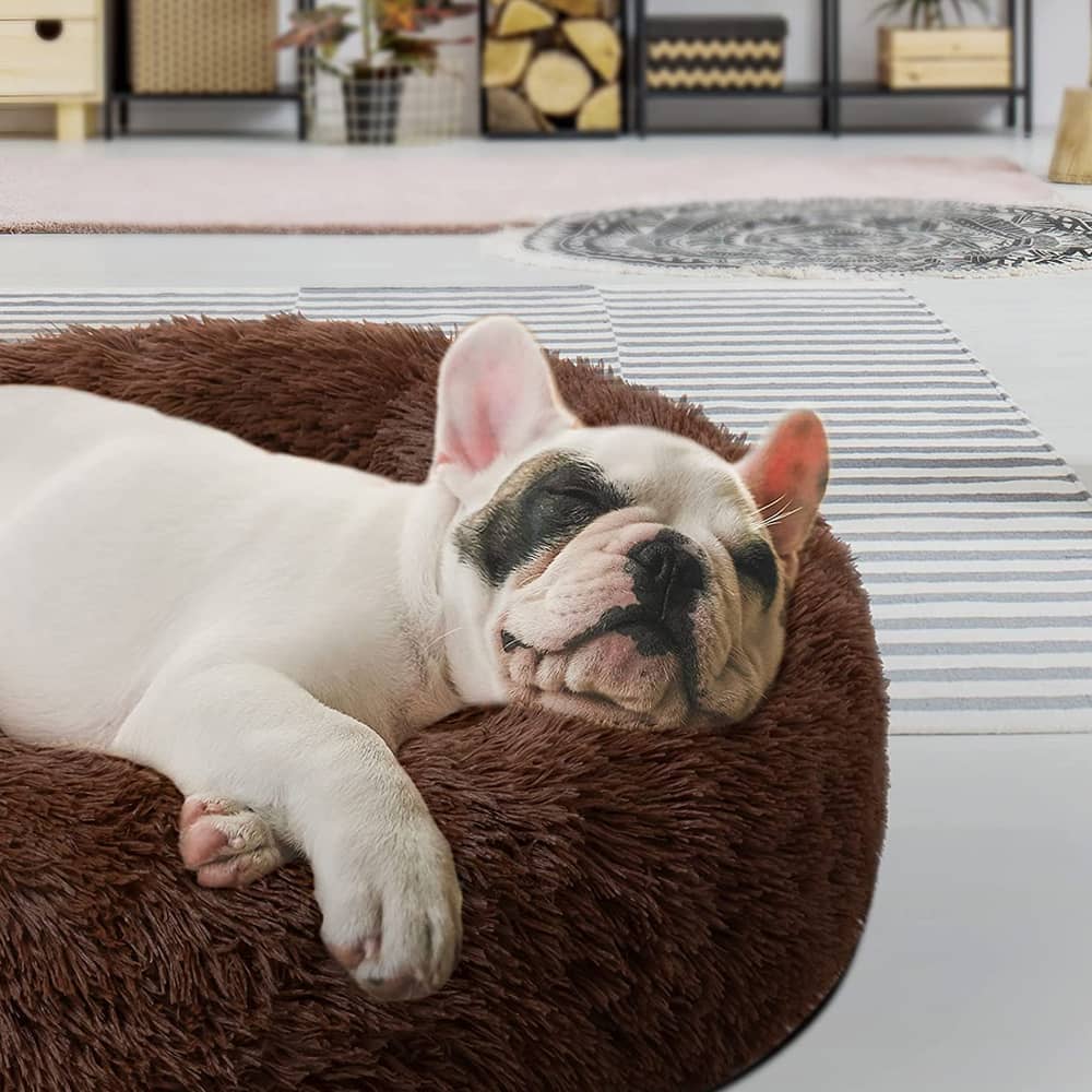 Pfoten&nasen Wolke 7 Hundebett – Waschbar, Rund & Flauschig, Größe M (75 Cm), Beige