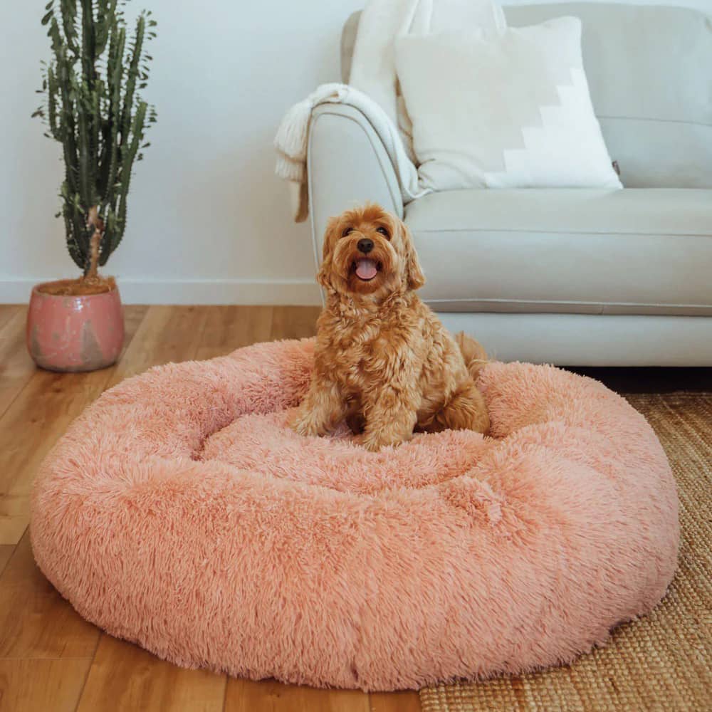 Wolke 7 Hundebett Das Original | Offizielle Hundebett Wolke 7